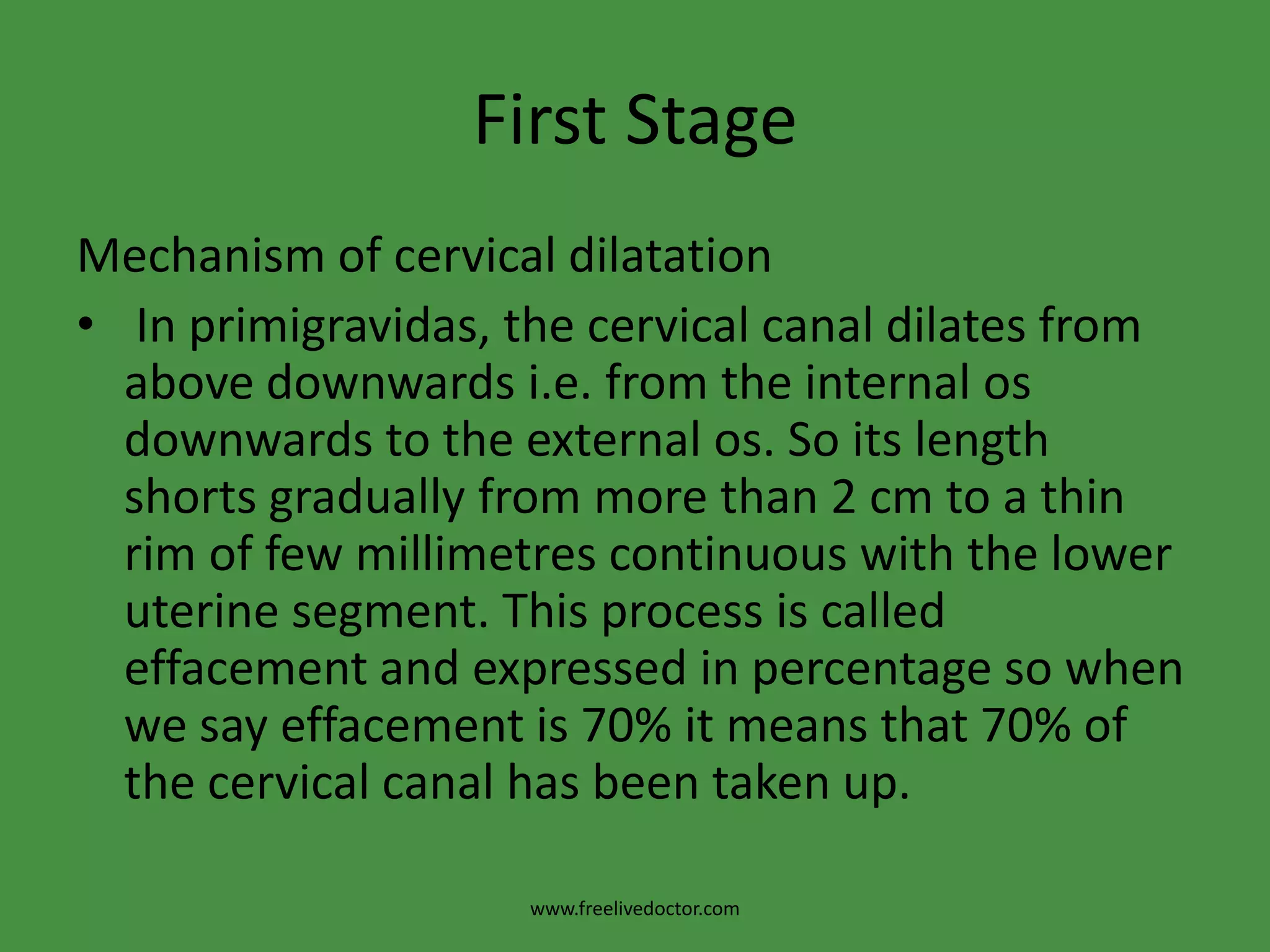 First StageMechanism of cervical dilatation In primigravidas, the cervical canal dilates from above downwards i.e. from the internal os downwards to the external os. So its length shorts gradually from more than 2 cm to a thin rim of few millimetres continuous with the lower uterine segment. This process is called effacement and expressed in percentage so when we say effacement is 70% it means that 70% of the cervical canal has been taken up.www.freelivedoctor.com