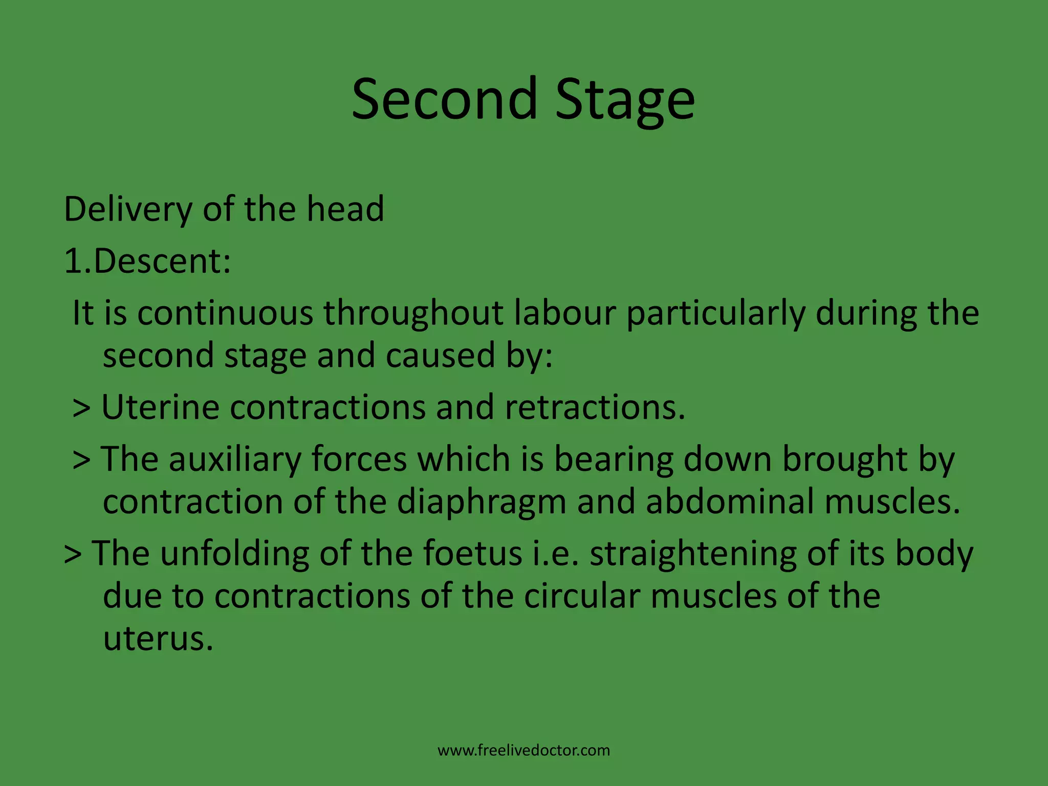  deceleration phase.www.freelivedoctor.com