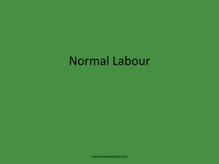 Normal Labour www.freelivedoctor.com 