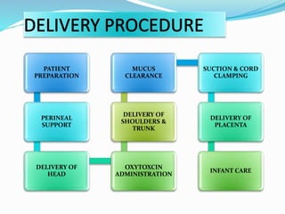 PATIENT
PREPARATION
PERINEAL
SUPPORT
DELIVERY OF
HEAD
OXYTOXCIN
ADMINISTRATION
DELIVERY OF
SHOULDERS &
TRUNK
MUCUS
CLEARANCE
SUCTION & CORD
CLAMPING
DELIVERY OF
PLACENTA
INFANT CARE
 