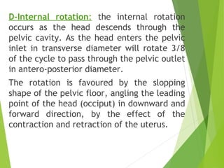 Normal labour | PPT