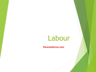 Labour 
Pavemedicine.com 
 