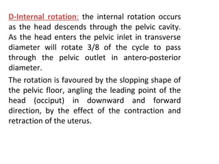 Normal labour | PPT