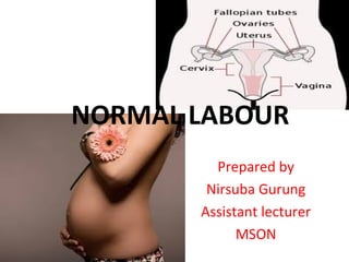 NORMAL LABOUR
Prepared by
Nirsuba Gurung
Assistant lecturer
MSON
 