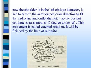 now the shoulder is in the left oblique diameter, it
had to turn to the anterior-posterior direction to fit
the mid plane and outlet diameter. so the occiput
continue to turn another 45 degree to the left . This
movement is called external rotation. It will be
finished by the help of midwife.
 