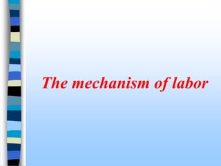 The mechanism of labor
 