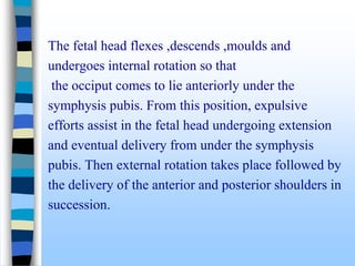The fetal head flexes ,descends ,moulds and
undergoes internal rotation so that
the occiput comes to lie anteriorly under the
symphysis pubis. From this position, expulsive
efforts assist in the fetal head undergoing extension
and eventual delivery from under the symphysis
pubis. Then external rotation takes place followed by
the delivery of the anterior and posterior shoulders in
succession.
 