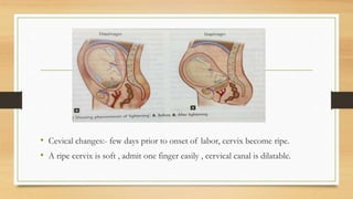 Cervical Ripe Normal labour | PPTX