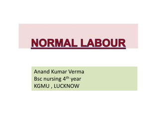 Anand Kumar Verma
Bsc nursing 4th year
KGMU , LUCKNOW
 