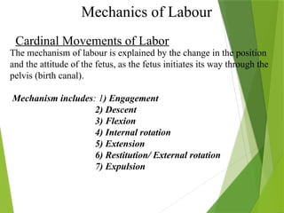 NORMAL LABOUR power point presentation content | PPTX