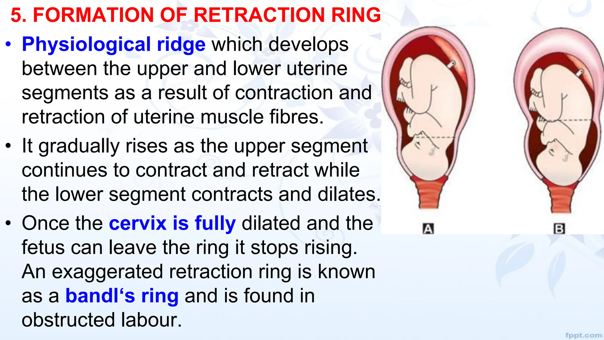 NORMAL_LABOUR_-_integrated reproductive health | PPT