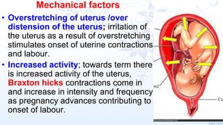 Contraction Increment NORMAL_LABOUR_-_integrated reproductive health | PDF