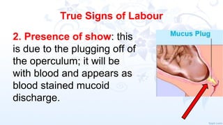 NORMAL_LABOUR_-_integrated reproductive health | PDF