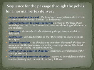  Engagement and descent: the head enters the pelvis in the Occipi-
transverse position with ﬂexion ↑ as it descends.
 Internal rotation to occipitoanterior: occurs at the level of the
ischial spines due to the forward and downward sloping of the levator
ani muscles.
 Crowning: the head extends, distending the perineum until it is
delivered.
 Restitution: the head rotates so that the occiput is in line with the
fetal spine.
 External rotation: the shoulders rotate when they reach the levator
muscles until the biacromial diameter is anteroposterior (the head
externally rotates by the same amount).
 Delivery of the anterior shoulder: occurs by lateral ﬂexion of the
trunk posteriorly.
 Delivery of the posterior shoulder: occurs by lateral ﬂexion of the
trunk anteriorly and the rest of the body follows.
 