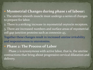  Myometrial Changes during phase 1 of labour:
1. The uterine smooth muscle must undergo a series of changes
to prepare for labor.
2. There is a striking increase in myometrial oxytocin receptors.
3. There are increased numbers and surface areas of myometrial
cell gap junction proteins such as connexin-43.
Together these changes result in increased uterine irritability
and responsiveness to uterotonins.
 Phase 2: The Process of Labor
Phase 2 is synonymous with active labor, that is, the uterine
contractions that bring about progressive cervical dilatation and
delivery.
 