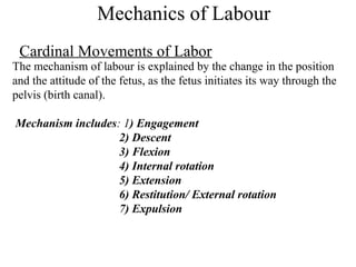 NORMAL_LABOUR and management of all stages | PPT