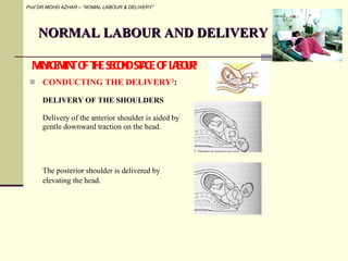 NORMAL LABOUR AND DELIVERY <ul><li>CONDUCTING THE DELIVERY 2 :  </li></ul><ul><li>DELIVERY OF THE SHOULDERS </li></ul><ul>...