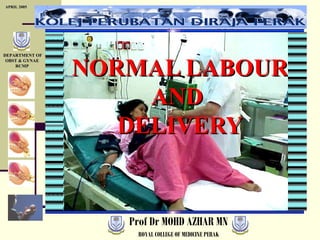 APRIL 2005

DEPARTMENT OF
OBST & GYNAE
RCMP

NORMAL LABOUR
AND
DELIVERY

Prof Dr MOHD AZHAR MN
ROYAL COLLEGE OF MEDICINE PERAK

 