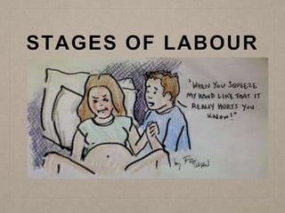 STAGES OF LABOUR
 
