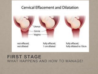 FIRST STAGE
WHAT HAPPENS AND HOW TO MANAGE!
 