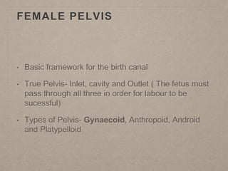 FEMALE PELVIS
• Basic framework for the birth canal
• True Pelvis- Inlet, cavity and Outlet ( The fetus must
pass through all three in order for labour to be
sucessful)
• Types of Pelvis- Gynaecoid, Anthropoid, Android
and Platypelloid
 