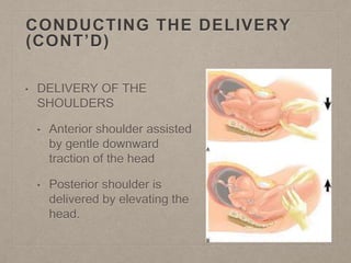CONDUCTING THE DELIVERY
(CONT’D)
• DELIVERY OF THE
SHOULDERS
• Anterior shoulder assisted
by gentle downward
traction of the head
• Posterior shoulder is
delivered by elevating the
head.
 