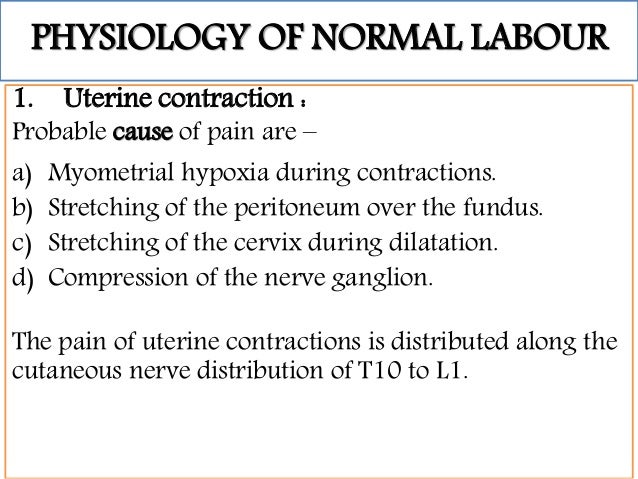 normal labour and physiology of normal labour physiology of labor
