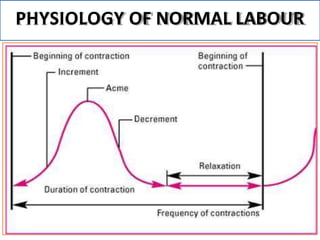 normallabouranditsphysiology-180925150940 (1).pptx