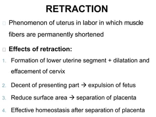 RETRACTION
Phenomenon of uterus in labor in which muscle
fibers are permanently shortened
Effects of retraction:
1. Formation of lower uterine segment + dilatation and
effacement of cervix
2. Decent of presenting part  expulsion of fetus
3. Reduce surface area  separation of placenta
4. Effective homeostasis after separation of placenta
 