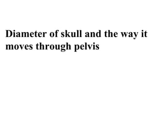 Diameter of skull and the way it
moves through pelvis
 