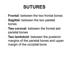 SUTURES
Frontal: between the two frontal bones
Sagittal: between the two parietal
bones
Two coronal: between the frontal and
parietal bones
Two lambdoid: between the posterior
margins of the parietal bones and upper
margin of the occipital bone
 