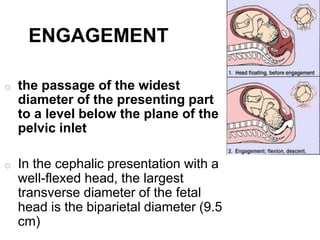 o the passage of the widest
diameter of the presenting part
to a level below the plane of the
pelvic inlet
o In the cephalic presentation with a
well-flexed head, the largest
transverse diameter of the fetal
head is the biparietal diameter (9.5
cm)
ENGAGEMENT
 