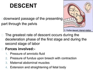 downward passage of the presenting
part through the pelvis
The greatest rate of descent occurs during the
deceleration phase of the first stage and during the
second stage of labor
Forces involved:-
1. Pressure of amniotic fluid
2. Pressure of fundus upon breech with contraction
3. Maternal abdominal muscles
4. Extension and straightening of fetal body
DESCENT
 