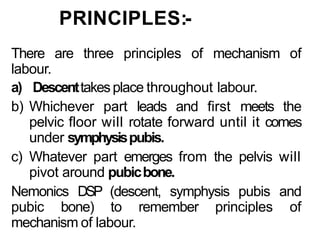 PRINCIPLES:-
There are three principles of mechanism of
labour.
a) Descenttakesplace throughout labour.
b) Whichever part leads and first meets the
pelvic floor will rotate forward until it comes
under symphysispubis.
c) Whatever part emerges from the pelvis will
pivot around pubicbone.
Nemonics DSP (descent, symphysis pubis and
pubic bone) to remember principles of
mechanism of labour.
 