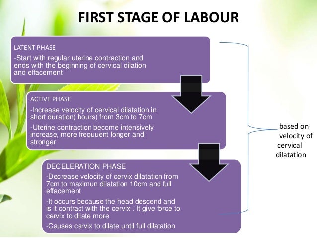 contract labour 16 form labour and Normal management