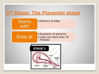 3rd Stage: The Placental stage
• Delivery of babyStarts
with
• Expulsion of placenta
• Lasts not more than 30
minutes
Ends at
 