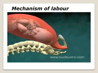 Mechanism of labour
 