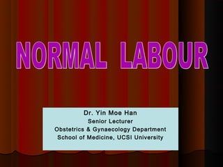 Dr. Yin Moe Han
           Senior Lecturer
Obstetrics & Gynaecology Department
 School of Medicine, UCSI University
 
