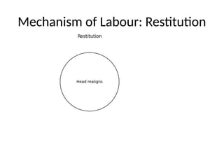 Normal_Labour_Full_Lecture_With_Diagrams_DC_Dutta.pptx