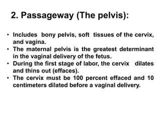 2. Passageway (The pelvis):
• Includes bony pelvis, soft tissues of the cervix,
and vagina.
• The maternal pelvis is the greatest determinant
in the vaginal delivery of the fetus.
• During the first stage of labor, the cervix dilates
and thins out (effaces).
• The cervix must be 100 percent effaced and 10
centimeters dilated before a vaginal delivery.
 