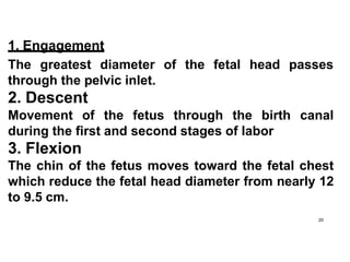 1. Engagement
20
of the fetal head passes
The greatest diameter
through the pelvic inlet.
2. Descent
Movement of the fetus through the birth canal
during the first and second stages of labor
3. Flexion
The chin of the fetus moves toward the fetal chest
which reduce the fetal head diameter from nearly 12
to 9.5 cm.
 