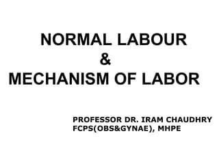 NORMAL LABOUR
&
MECHANISM OF LABOR
PROFESSOR DR. IRAM CHAUDHRY
FCPS(OBS&GYNAE), MHPE
 