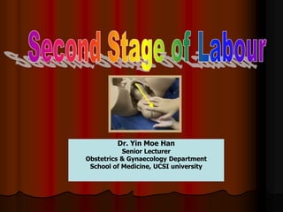 Dr. Yin Moe Han
           Senior Lecturer
Obstetrics & Gynaecology Department
 School of Medicine, UCSI university
 