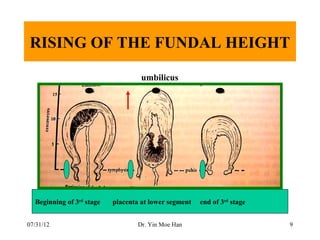 RISING OF THE FUNDAL HEIGHT

                                    umbilicus




  Beginning of 3rd stage   placenta at lower segment   end of 3rd stage


07/31/12                           Dr. Yin Moe Han                        9
 