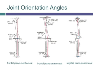 Joint Orientation Angles
frontal plane-mechanical frontal plane-anatomical sagittal plane-anatomical
 