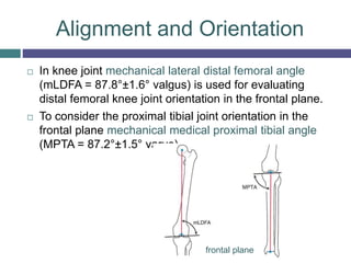  In knee joint mechanical lateral distal femoral angle
(mLDFA = 87.8°±1.6° valgus) is used for evaluating
distal femoral knee joint orientation in the frontal plane.
 To consider the proximal tibial joint orientation in the
frontal plane mechanical medical proximal tibial angle
(MPTA = 87.2°±1.5° varus)
Alignment and Orientation
frontal plane
 