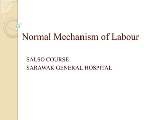 Normal Mechanism of Labour

SALSO COURSE
SARAWAK GENERAL HOSPITAL
 