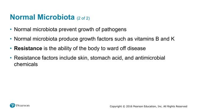 Our relationship with our normal microbiota | PPT