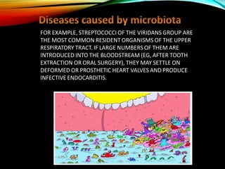 NORMAL HUMAN MICROBIOTA AND TYPES OF MICROBIOTA | PPTX