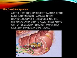 NORMAL HUMAN MICROBIOTA AND TYPES OF MICROBIOTA | PPTX